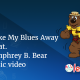 Shake My Blues Away music video cover art